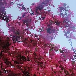 Meet your Posher, Jana